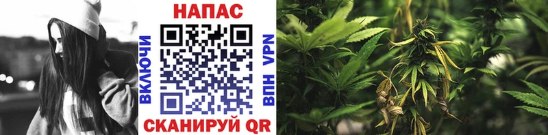 продажа наркотиков  Учалы  МАРИХУАНА LSD WEED 